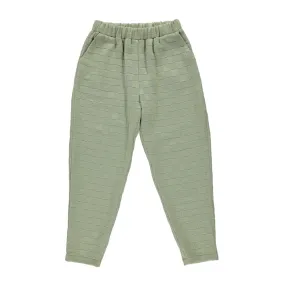 Chino Sage Adult