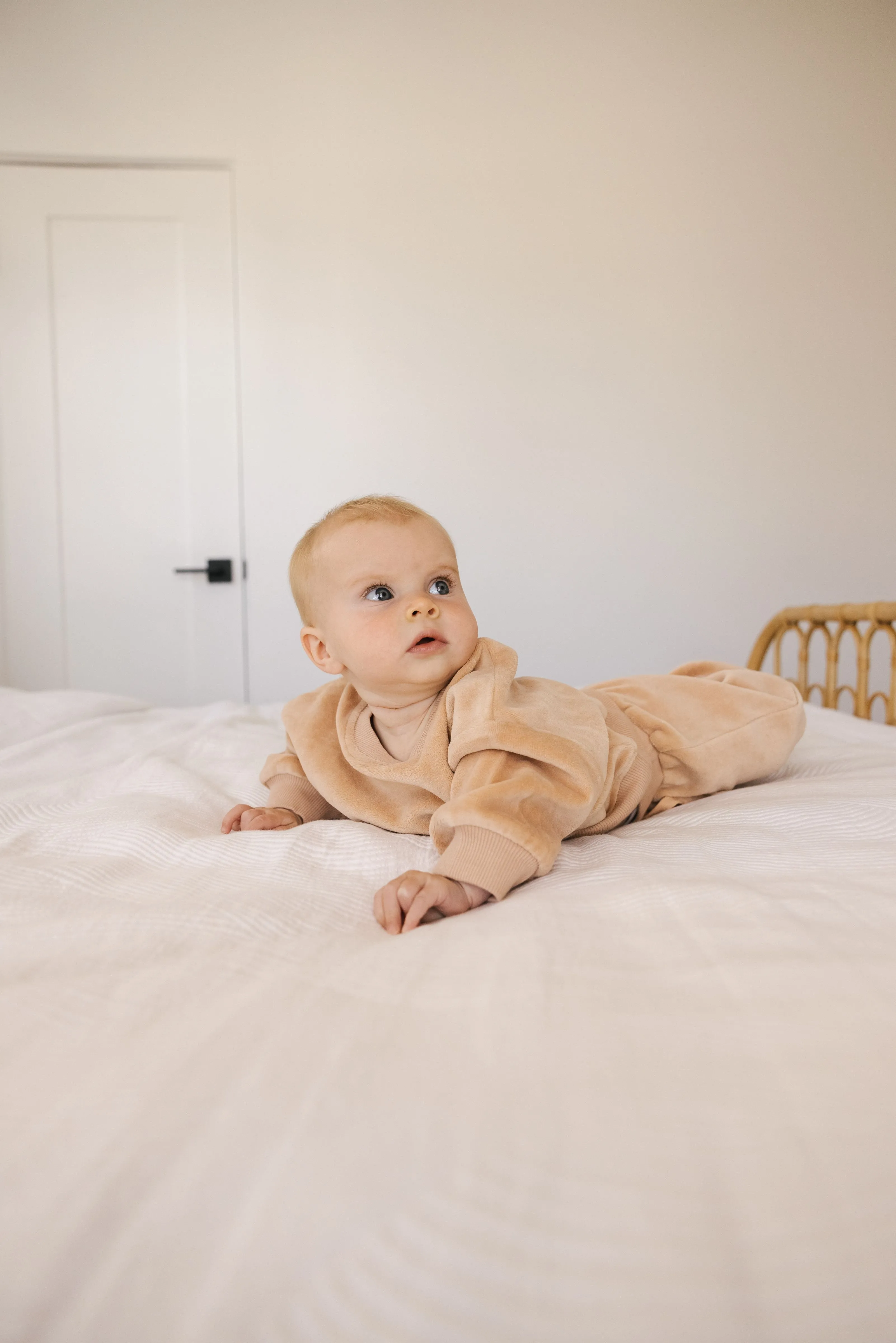 Quincy Mae Velour Relaxed Sweatpant - Blush